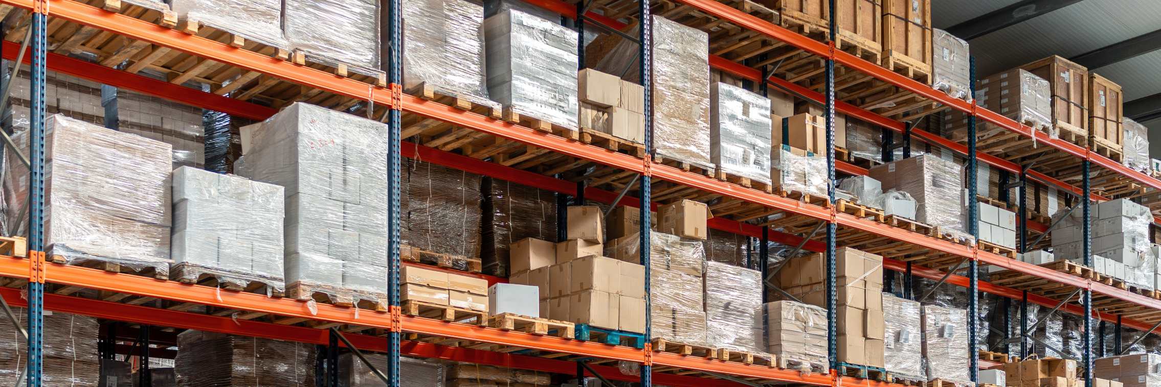 Wholesale & Distribution